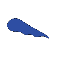 TiimoApp jelly tiimo tiimoapp tiimogifs Sticker