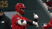 Regular Season Baseball GIF by MLB