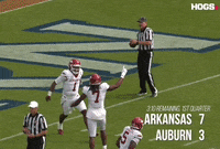 Football Sport GIF by Hogs+