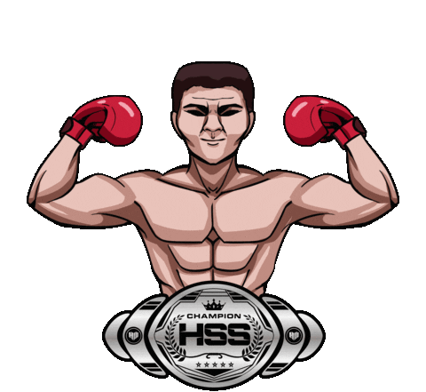 Boxing Holywings Sticker by HW Group