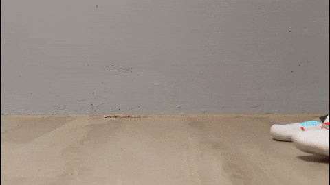 hanhanhanko giphyupload GIF