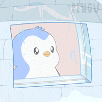 Rain Looking GIF by Pudgy Memez