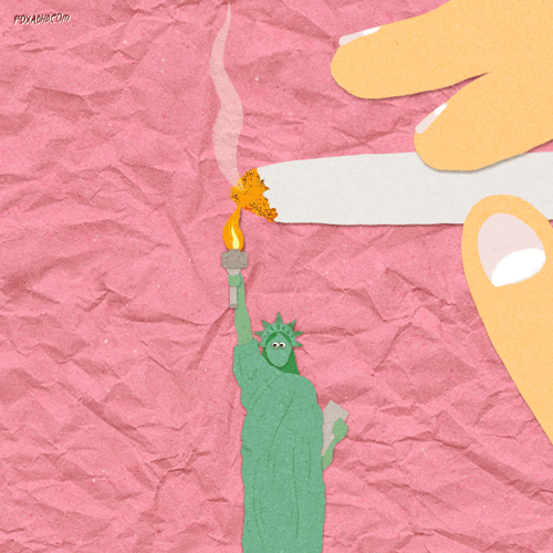 Animation Domination Fox GIF