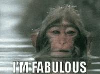 officialrivermakeup beauty makeup river rivermakeup GIF