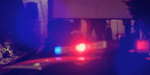 Tim Robinson Friendship GIF by A24
