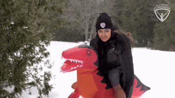 He Says "Yes"  He Understands