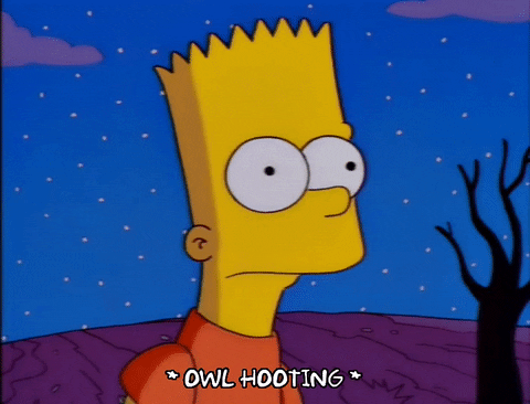 bart simpson GIF