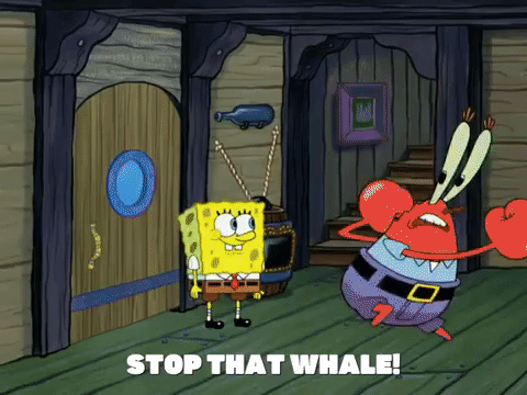 season 8 barnacle face GIF by SpongeBob SquarePants