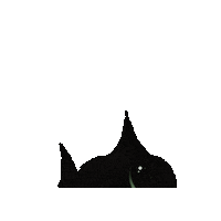 Black Cat Love Sticker