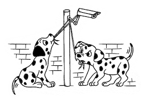 Dalmatian Sticker by ABLUP