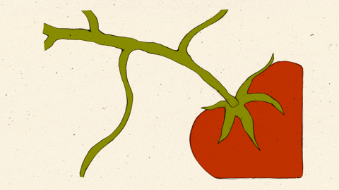 fromcecily giphyupload spring plants tomato GIF