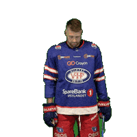 6 Sticker by VIF Hockey