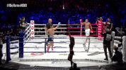 raymond daniels fight GIF by Bellator