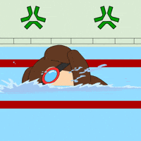 Swimming Pool Dog GIF by ChesterAbstract