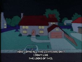 Season 1 Episode 13 GIF by The Simpsons
