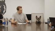 National Hockey League Lol GIF by NHL