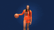 Womens Basketball Illinois GIF by Fighting Illini Athletics