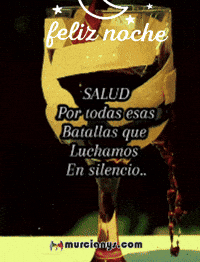 Salud Amigos GIF by Murcianys LLC