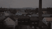 Zona Pro Umeni 8Smicka GIF by 8smicka