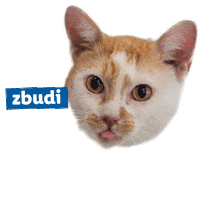 Cat Dog Sticker by Lidl Slovenija