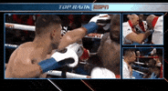 toprank boxing fighting espn fighters GIF