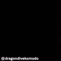 DragonDiveKomodo ocean indonesia turtle diving GIF
