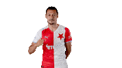Football Goals Sticker by SK Slavia Praha