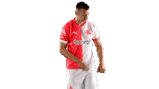 Football Soccer Sticker by SK Slavia Praha