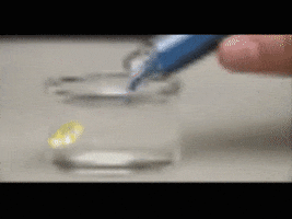 meal awaits GIF