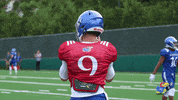 KansasJayhawks football throw quarterback ku GIF