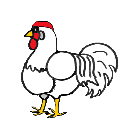 Chickens Hahn Sticker
