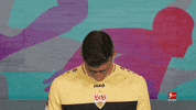 Vfb Stuttgart Football GIF by Bundesliga