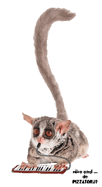 nikoand_official bushbaby ニコアンド nikoand pizzatoru Sticker