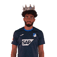 Kevin Akpoguma Sport Sticker by TSG Hoffenheim