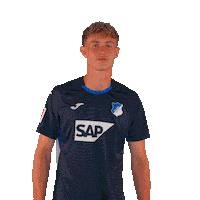 Sport Bundesliga Sticker by TSG Hoffenheim