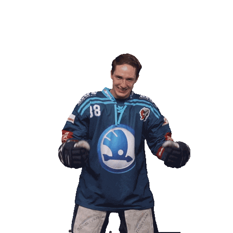Hockey Hokej Sticker by HC Škoda Plzeň