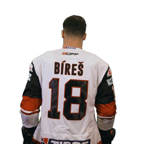 Hokej Sticker by HC '05 Banská Bystrica