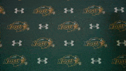 Ndsu Soccer GIF by NDSU Athletics