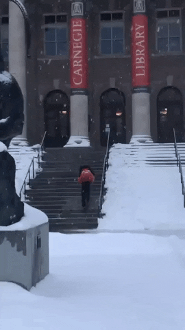 Snow Day GIF by Syracuse University