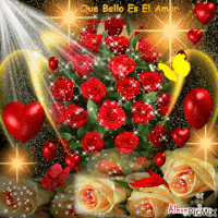 bellas GIF