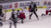 red bull GIF by EC Red Bull Salzburg