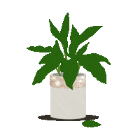 Glitter Sparkle Sticker