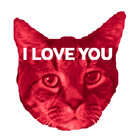 I Love You Cat Sticker
