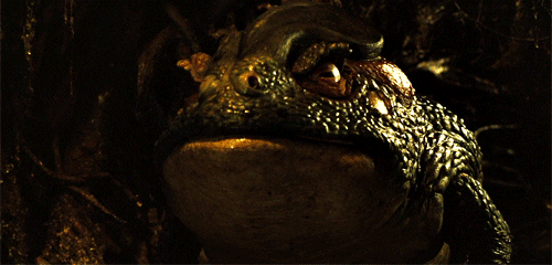 guillermo del toro some of the creatures GIF by Maudit