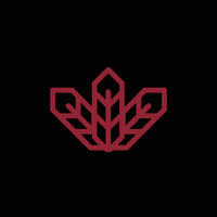 salvador havanawear GIF by havana store