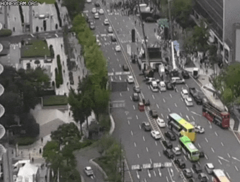 bongjunjeong giphyupload GIF