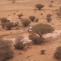 GIF by Red Bull