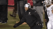 Oakland Raiders Football GIF by NFL