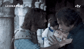 GIF by France tv