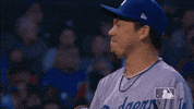 Regular Season Sport GIF by MLB